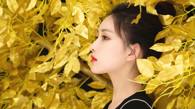 崩坏星穹铁道崇高道德的赞许怎么获得 崇高道德的赞许获得方法